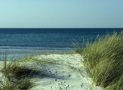 Anholt Strand